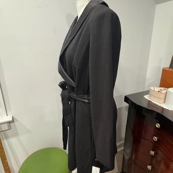 Adrianna Papell Elegant Black Dress with Satin Belt - Picture 6 of 12